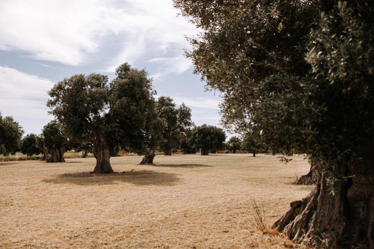 Masseria Garrappa Fasano Exterior photo